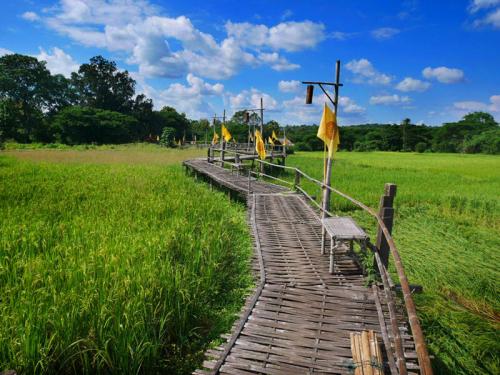 ขัวแตะ วัดพระธาตุสันดอน
