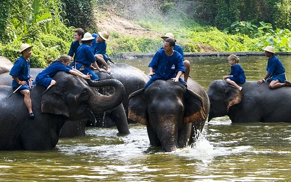 สถาบัญคชบาลแห่งชาติ ในพระอุปถัมป์   อำเภอห้างฉัตร จังหวัดลำปาง
